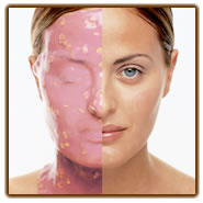 カスマラバイオレット2040